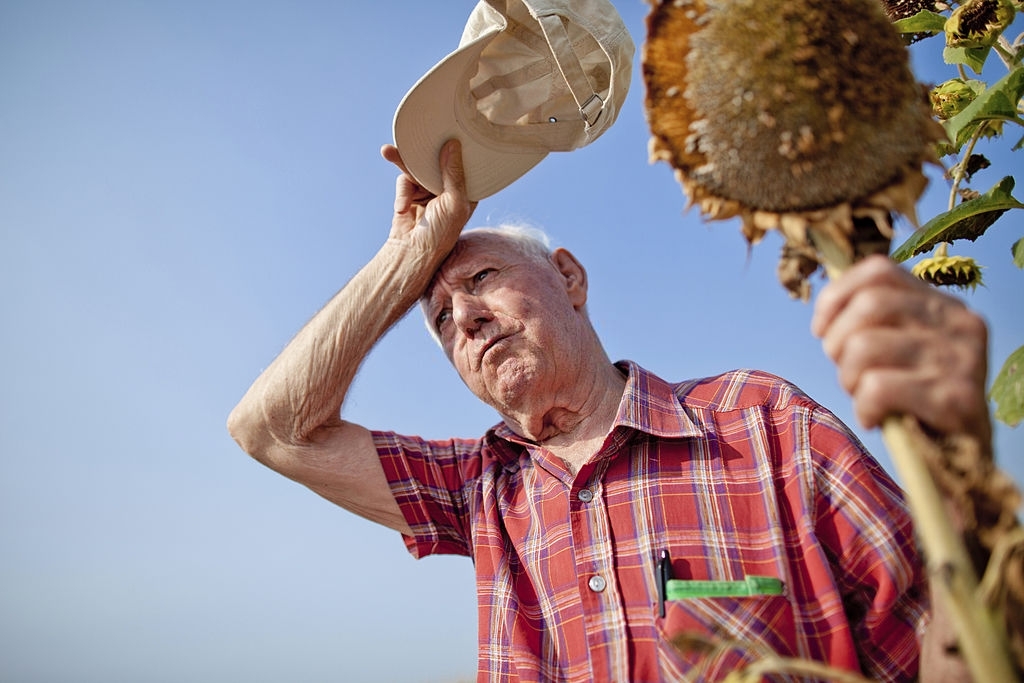 Kidney Stones in Older Adults